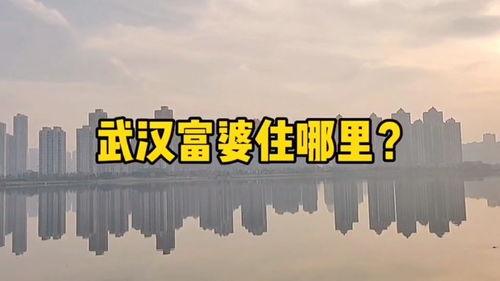 武汉楼市最新爆料,揭秘最新价格走势与热门项目盘点